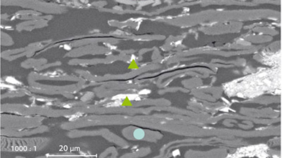 無機充填剤とコーティングを有する紙のSEM断面